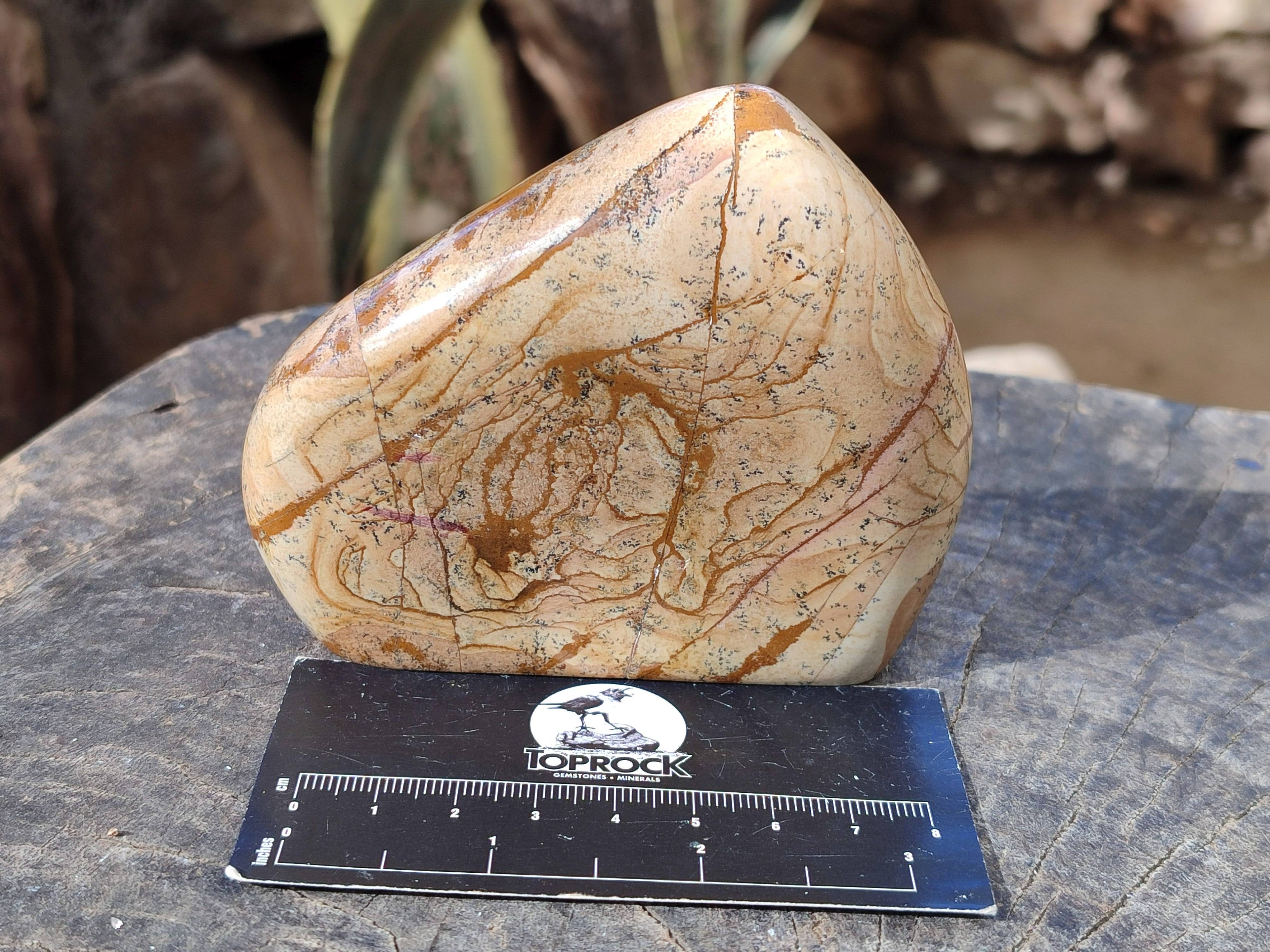 Polished Picture Stone Jasper Standing Free Forms x 3 From Ais-Ais, Namibia - Toprock Gemstones and Minerals 