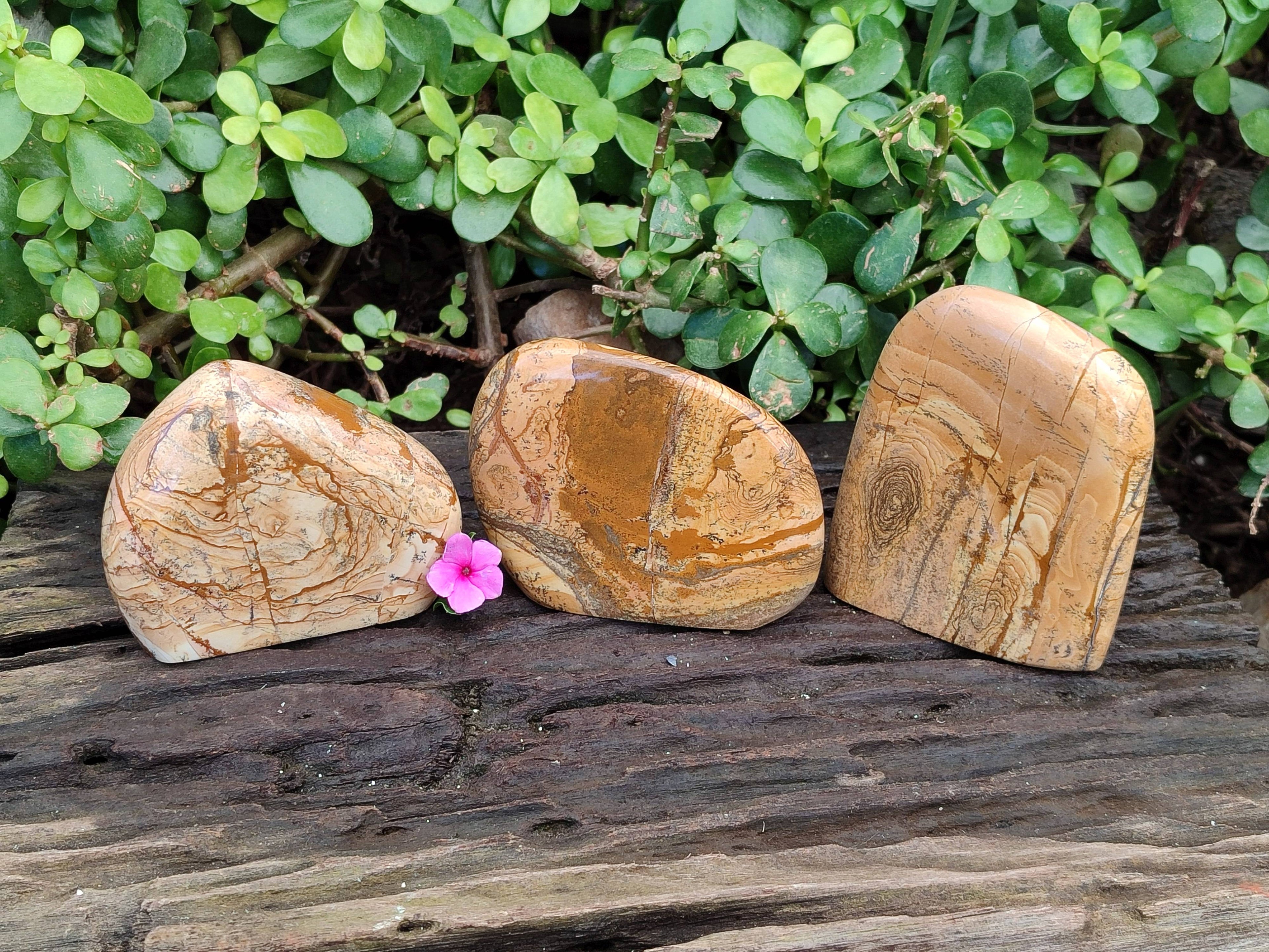 Polished Picture Stone Jasper Standing Free Forms x 3 From Ais-Ais, Namibia - Toprock Gemstones and Minerals 