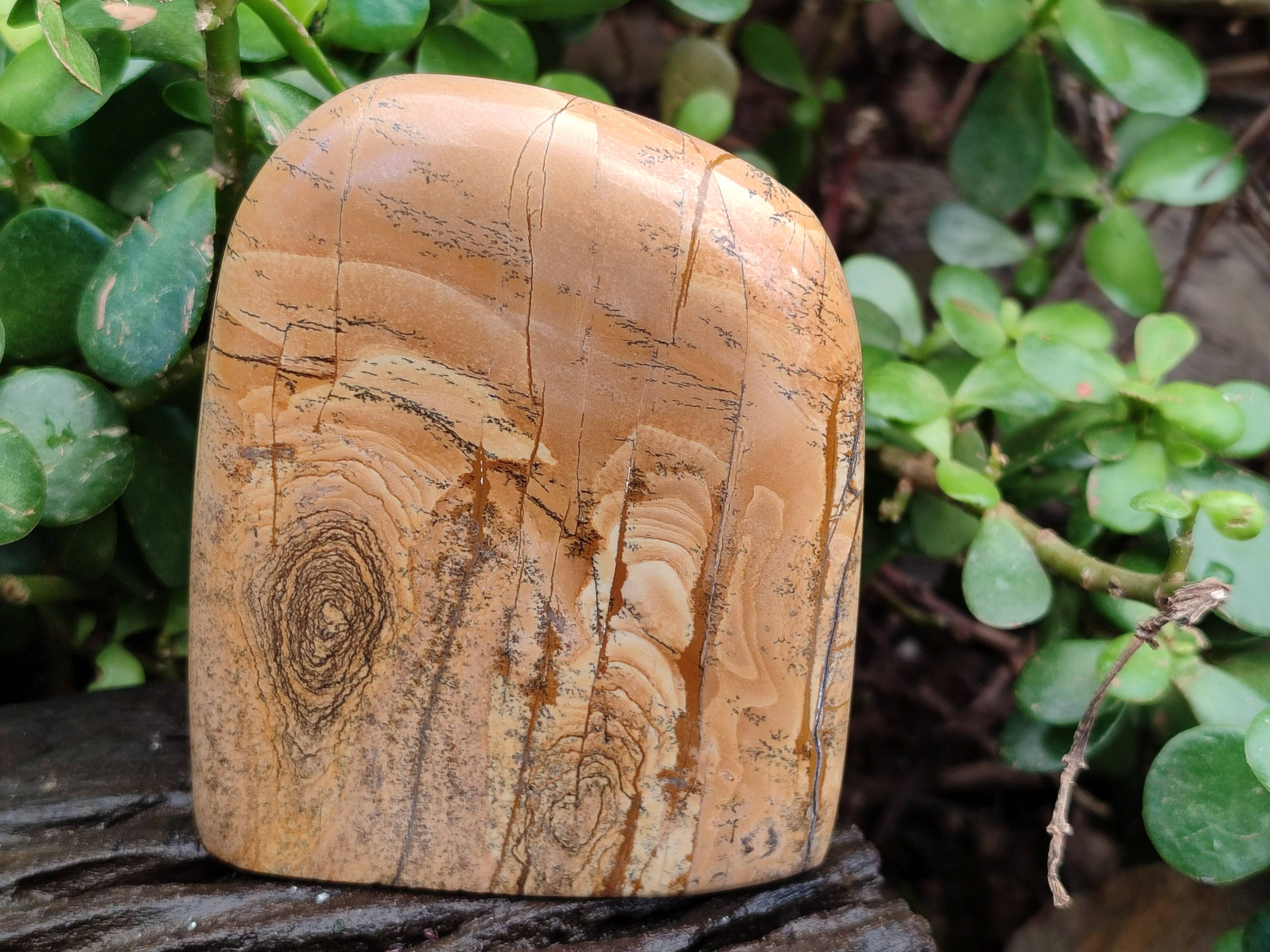 Polished Picture Stone Jasper Standing Free Forms x 3 From Ais-Ais, Namibia - Toprock Gemstones and Minerals 