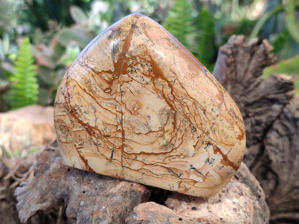 Polished Picture Stone Jasper Standing Free Forms x 3 From Ais-Ais, Namibia - Toprock Gemstones and Minerals 