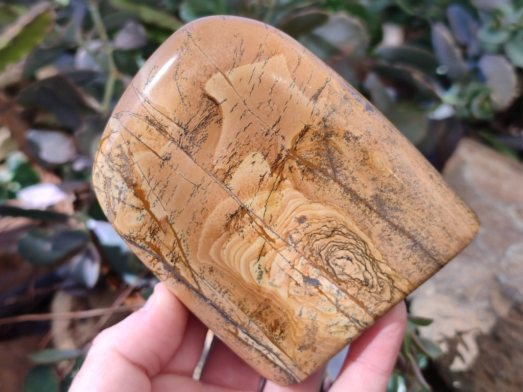 Polished Picture Stone Jasper Standing Free Forms x 3 From Ais-Ais, Namibia - Toprock Gemstones and Minerals 