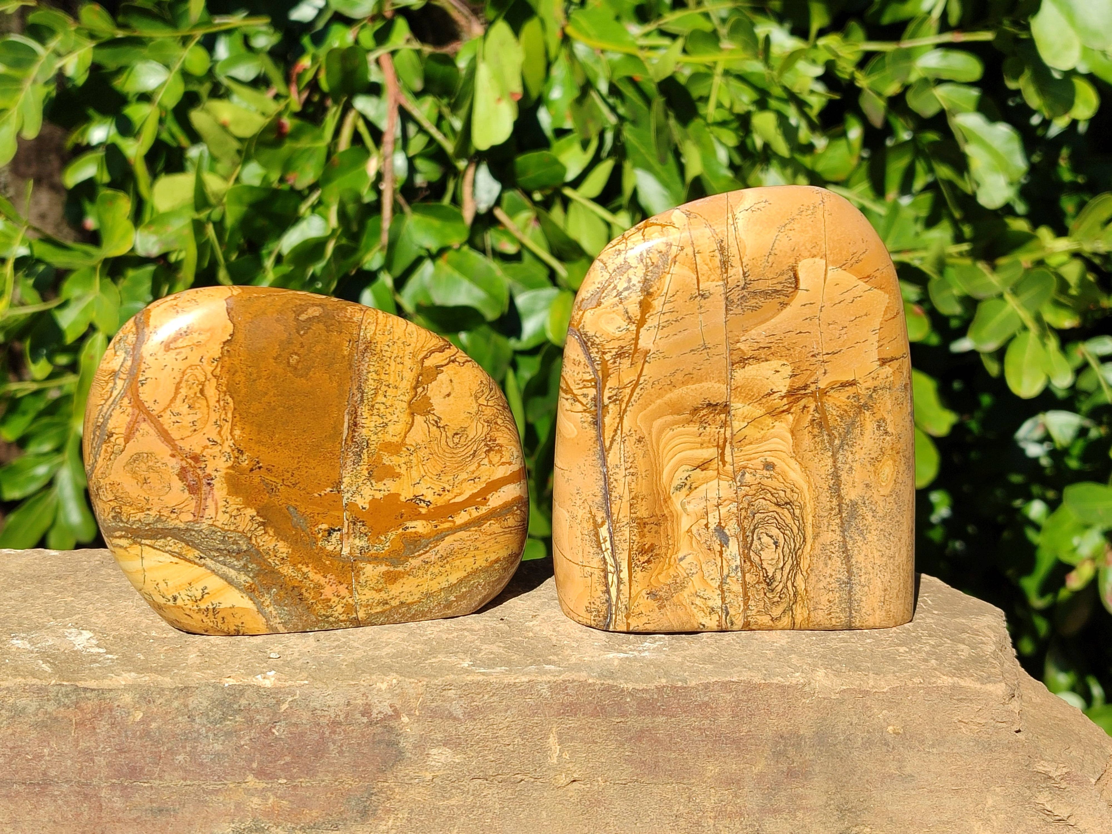 Polished Picture Stone Jasper Standing Free Forms x 3 From Ais-Ais, Namibia - Toprock Gemstones and Minerals 