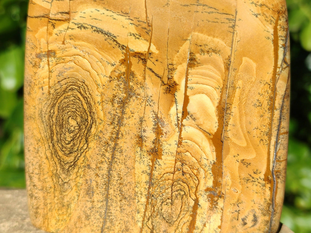 Polished Picture Stone Jasper Standing Free Forms x 3 From Ais-Ais, Namibia - Toprock Gemstones and Minerals 