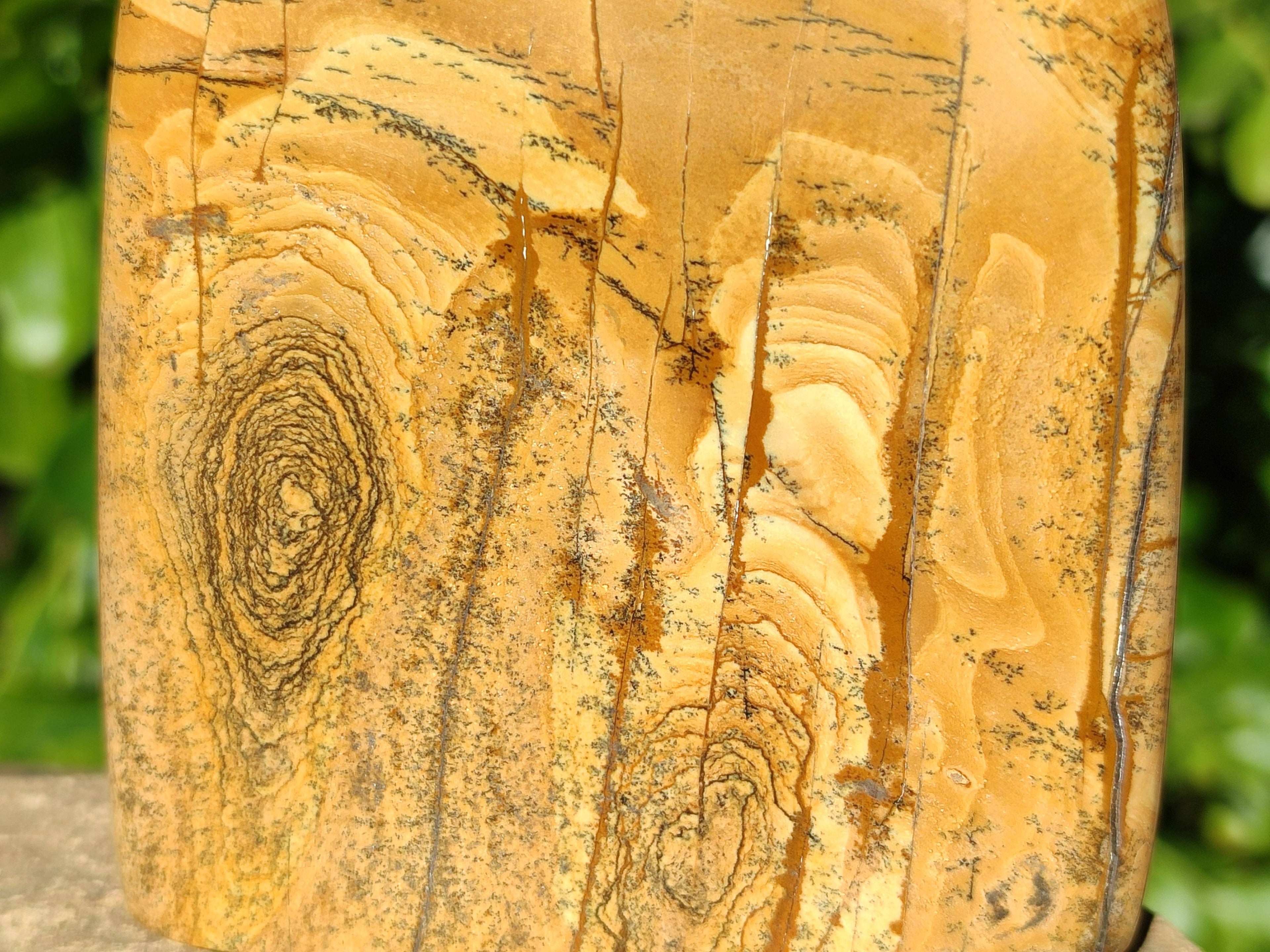 Polished Picture Stone Jasper Standing Free Forms x 3 From Ais-Ais, Namibia - Toprock Gemstones and Minerals 