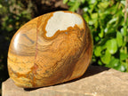 Polished Picture Stone Jasper Standing Free Forms x 3 From Ais-Ais, Namibia - Toprock Gemstones and Minerals 