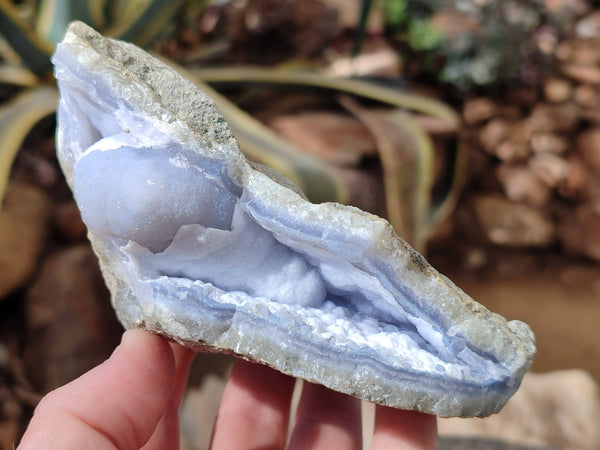 Natural Blue Lace Agate Geode Specimens x 5 From Nsanje, Malawi