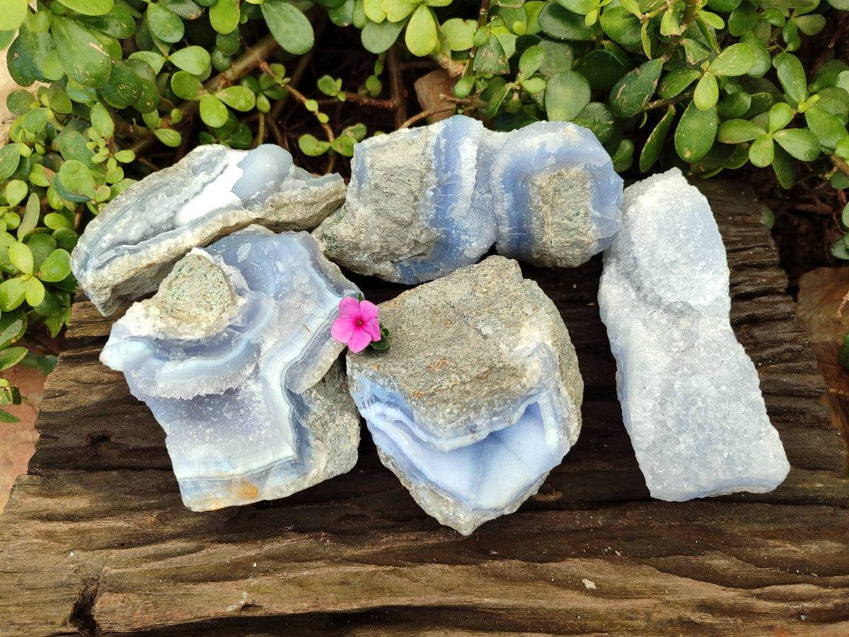 Natural Blue Lace Agate Geode Specimens x 5 From Nsanje, Malawi - Toprock Gemstones and Minerals 