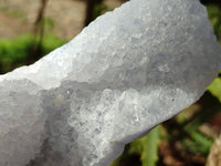 Natural Blue Lace Agate Geode Specimens x 5 From Nsanje, Malawi
