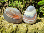 Polished Sashe River Agate Palm Stones x 24 From Zimbabwe - Toprock Gemstones and Minerals 