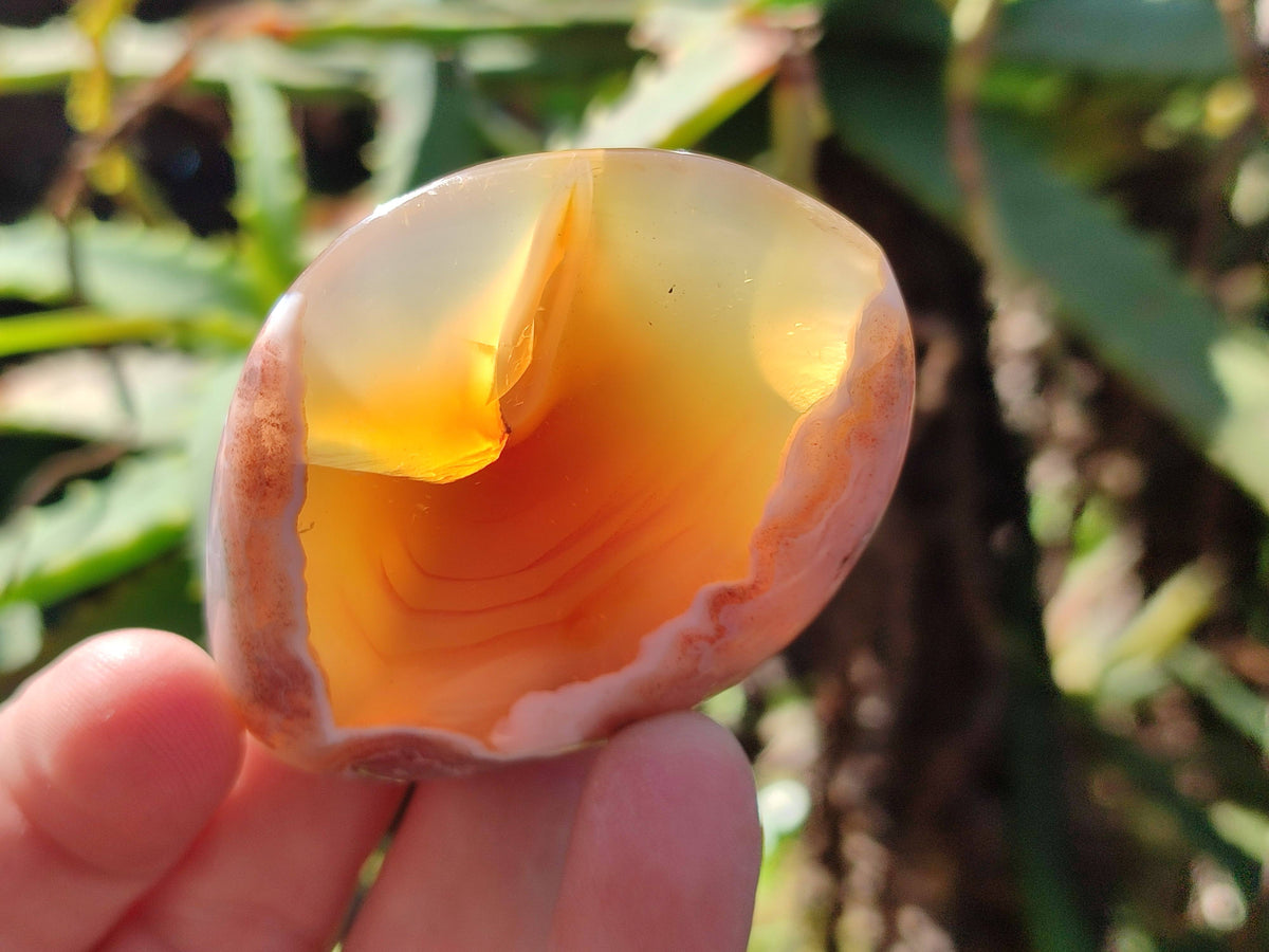 Polished Sashe River Agate Palm Stones x 24 From Zimbabwe - Toprock Gemstones and Minerals 