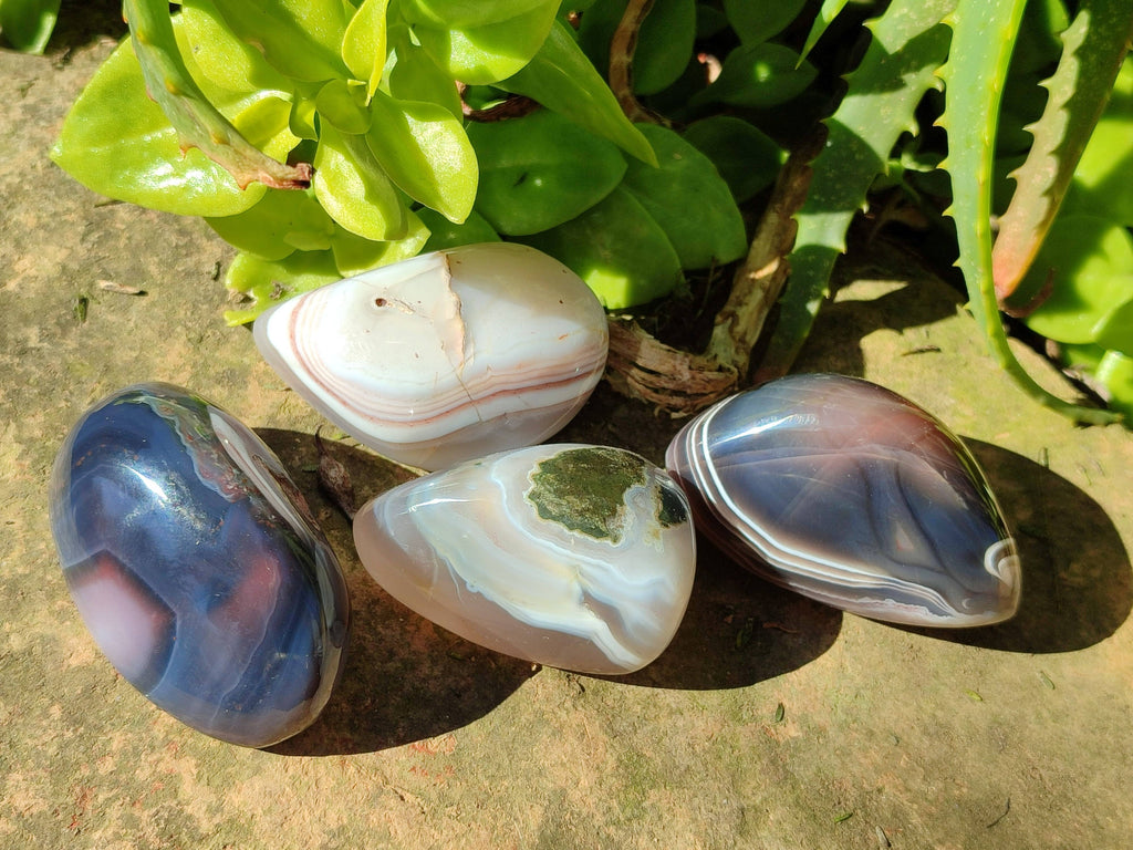 Polished Sashe River Agate Palm Stones x 24 From Zimbabwe - Toprock Gemstones and Minerals 