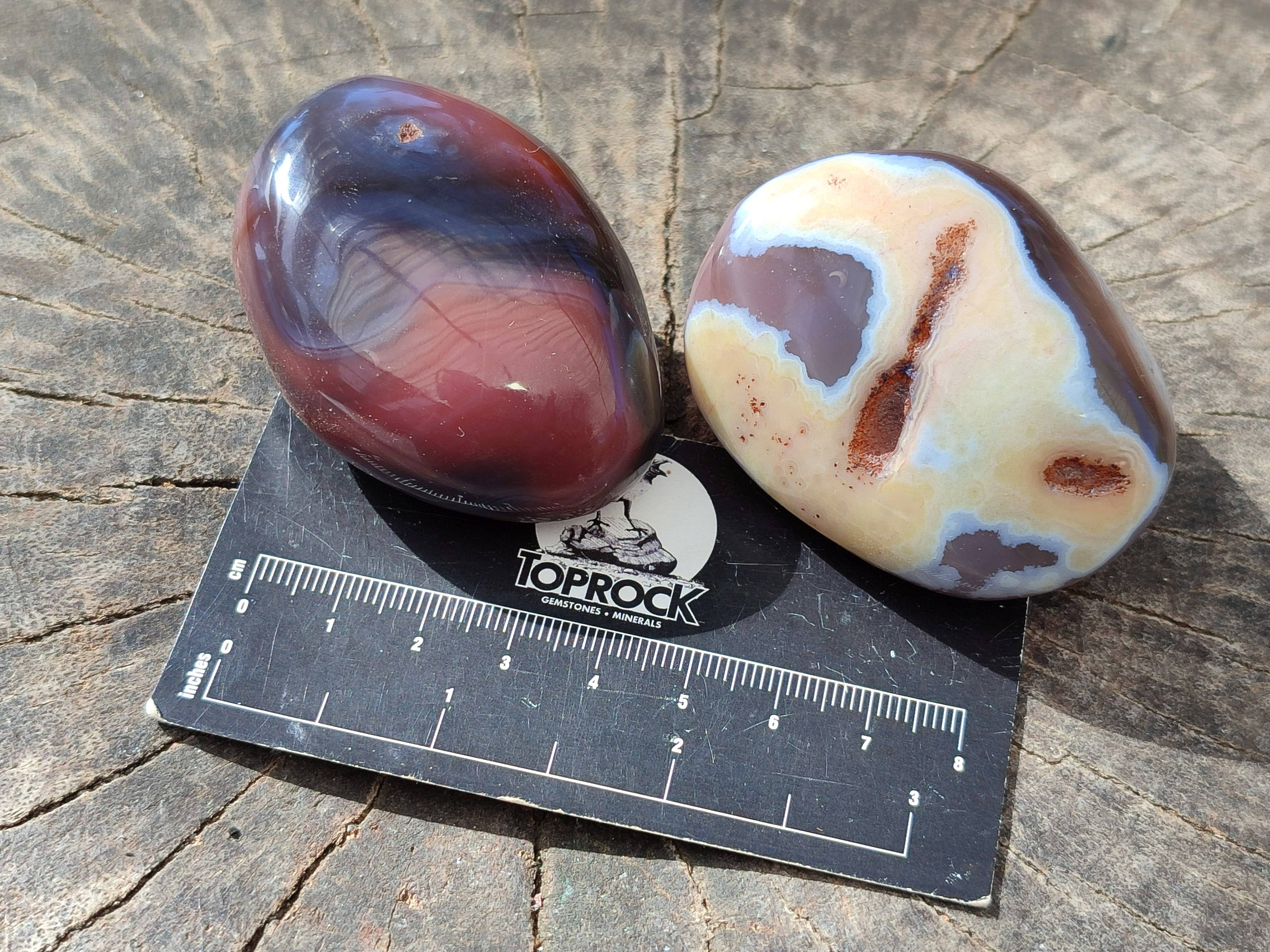 Polished Sashe River Agate Palm Stones x 24 From Zimbabwe - Toprock Gemstones and Minerals 