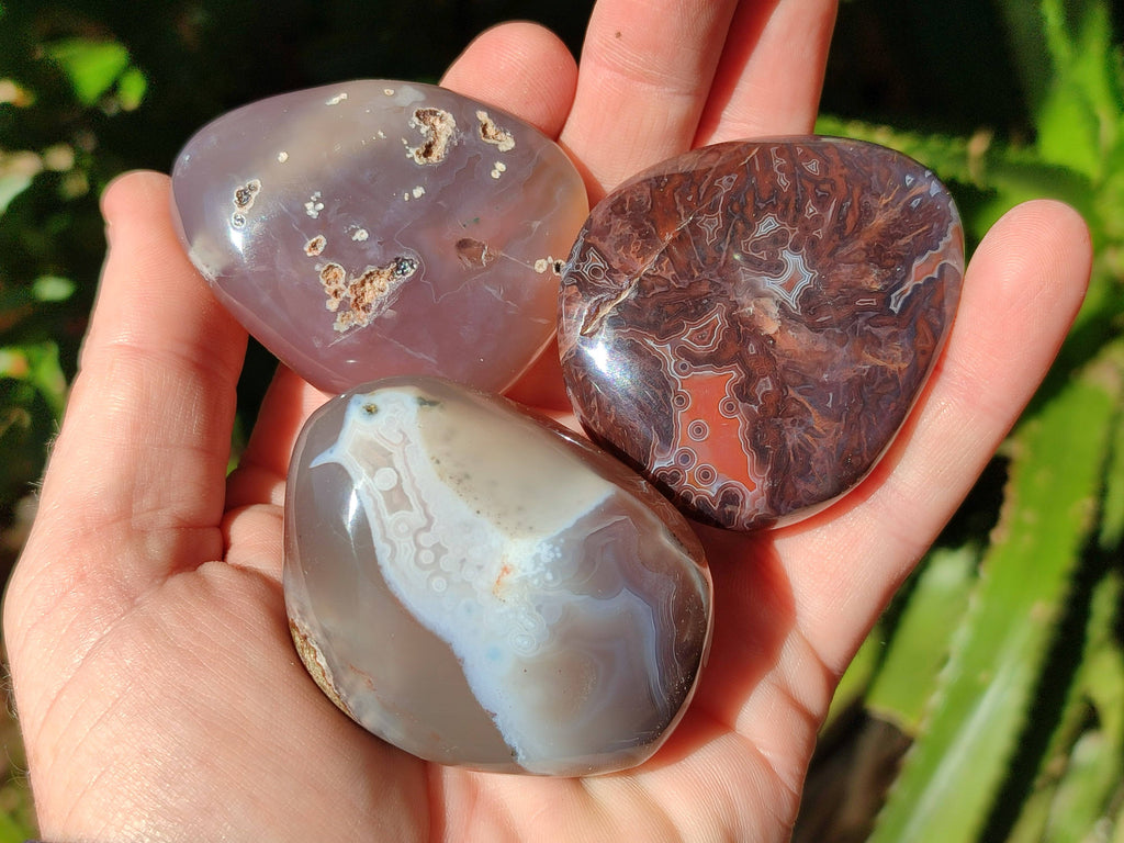Polished Sashe River Agate Palm Stones x 24 From Zimbabwe - Toprock Gemstones and Minerals 