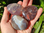 Polished Sashe River Agate Palm Stones x 24 From Zimbabwe - Toprock Gemstones and Minerals 