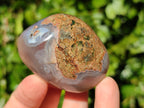Polished Sashe River Agate Palm Stones x 24 From Zimbabwe - Toprock Gemstones and Minerals 