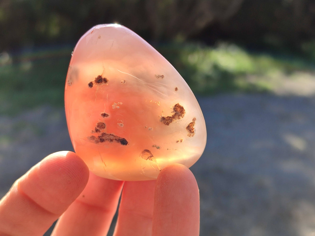 Polished Sashe River Agate Palm Stones x 24 From Zimbabwe - Toprock Gemstones and Minerals 