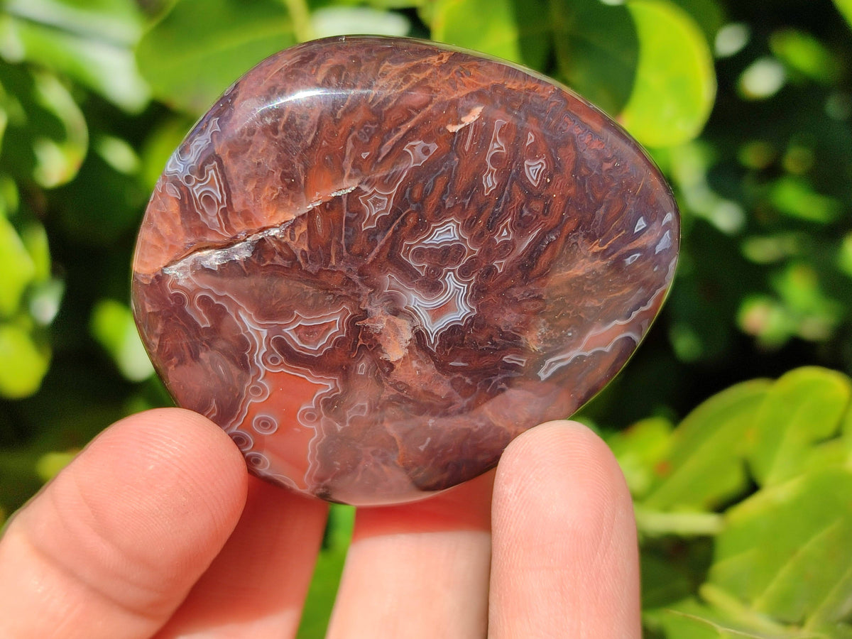 Polished Sashe River Agate Palm Stones x 24 From Zimbabwe - Toprock Gemstones and Minerals 