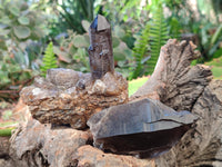 Natural Smokey Quartz Crystals x 6 From Zomba, Malawi