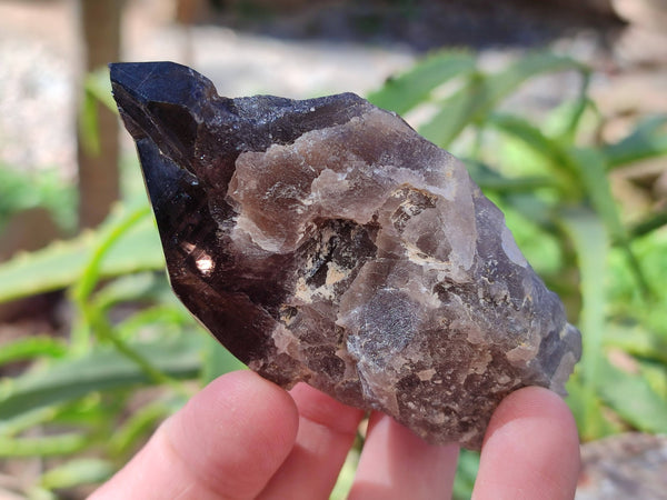 Natural Smokey Quartz Crystals x 6 From Zomba, Malawi