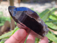 Natural Smokey Quartz Crystals x 6 From Zomba, Malawi