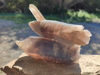 Natural Smokey Quartz Crystals x 6 From Zomba, Malawi