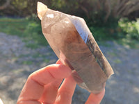 Natural Smokey Quartz Crystals x 6 From Zomba, Malawi