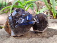 Natural Smokey Quartz Crystals x 6 From Zomba, Malawi