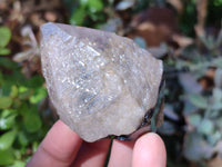 Natural Smokey Quartz Crystals x 6 From Zomba, Malawi