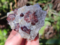 Natural Red Pyrope Garnet Crystals in Quartz Feldspar Matrix x 12 From Namibia