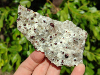 Natural Red Pyrope Garnet Crystals in Quartz Feldspar Matrix x 12 From Namibia