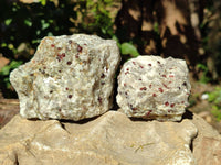 Natural Red Pyrope Garnet Crystals in Quartz Feldspar Matrix x 12 From Namibia