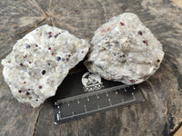 Natural Red Pyrope Garnet Crystals in Quartz Feldspar Matrix x 12 From Namibia
