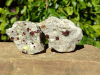 Natural Red Pyrope Garnet Crystals in Quartz Feldspar Matrix x 12 From Namibia