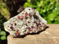 Natural Red Pyrope Garnet Crystals in Quartz Feldspar Matrix x 12 From Namibia
