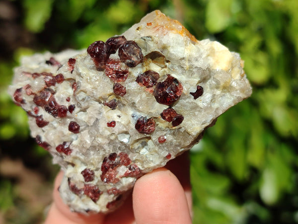 Natural Red Pyrope Garnet Crystals in Quartz Feldspar Matrix x 12 From Namibia