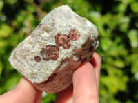 Natural Red Pyrope Garnet Crystals in Quartz Feldspar Matrix x 12 From Namibia