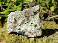 Natural Red Pyrope Garnet Crystals in Quartz Feldspar Matrix x 12 From Namibia