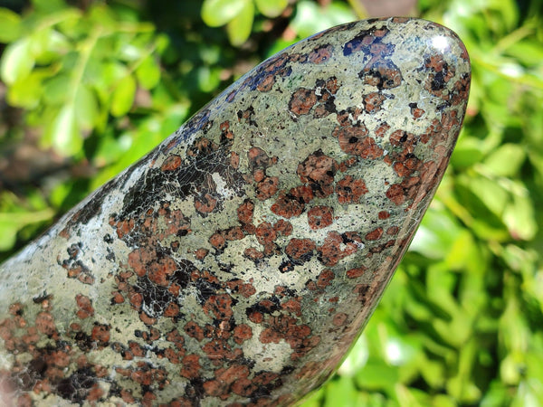 Polished Eclogite Garnet Standing Free Form x 1 From Northern Cape, South Africa