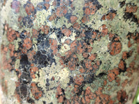 Polished Eclogite Garnet Standing Free Form x 1 From Northern Cape, South Africa
