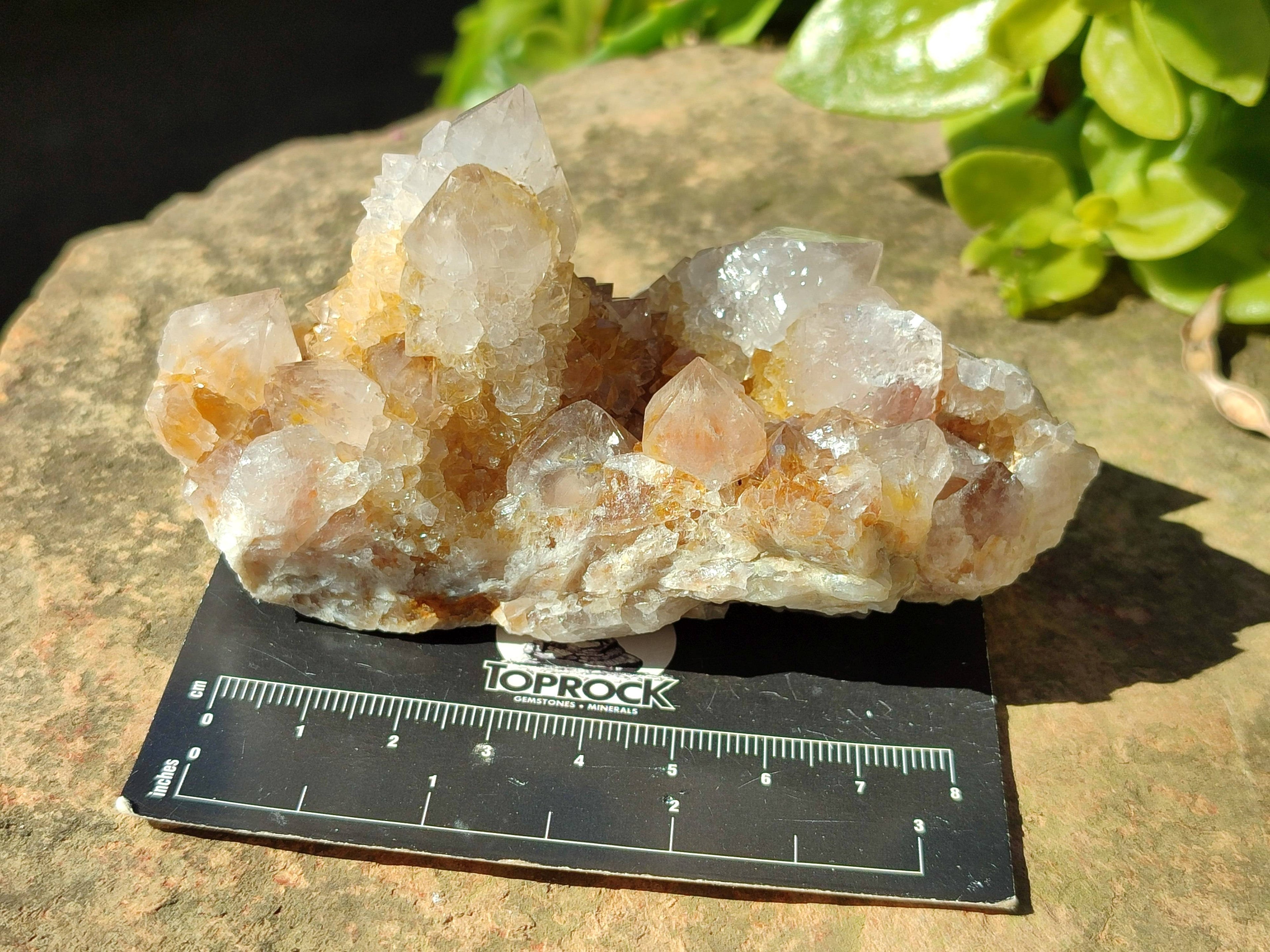 Natural Smokey Amethyst Spirit Quartz Clusters x 6 From Boekenhouthoek, South Africa - Toprock Gemstones and Minerals 