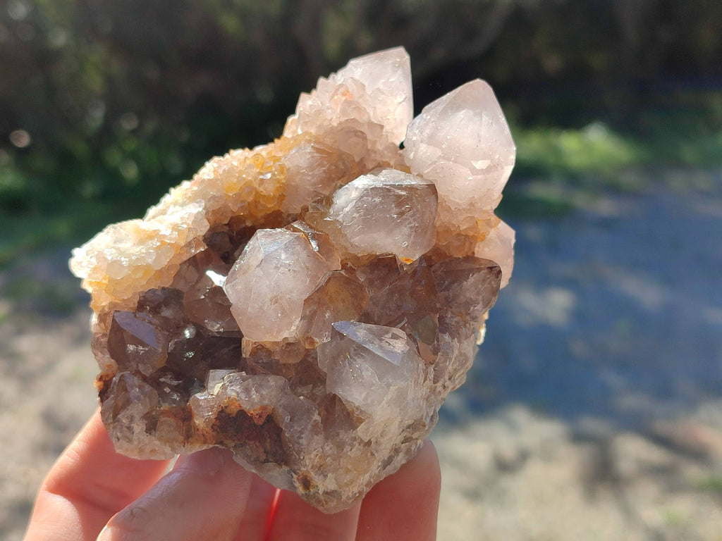 Natural Smokey Amethyst Spirit Quartz Clusters x 6 From Boekenhouthoek, South Africa - Toprock Gemstones and Minerals 