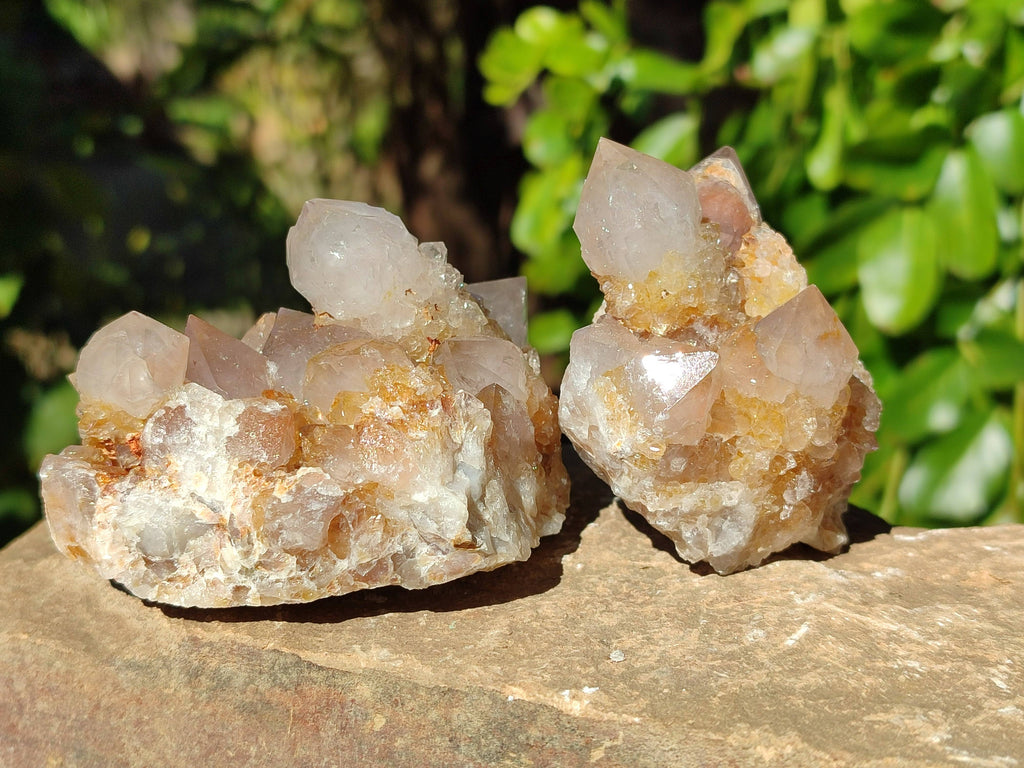 Natural Smokey Amethyst Spirit Quartz Clusters x 6 From Boekenhouthoek, South Africa - Toprock Gemstones and Minerals 