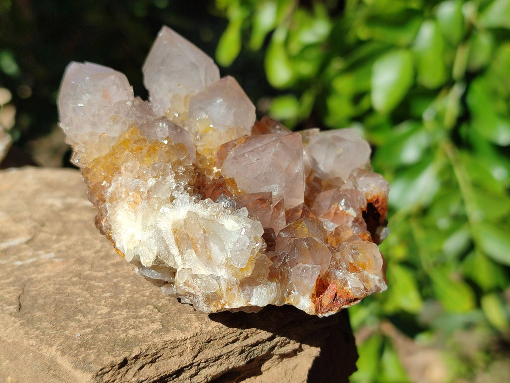 Natural Smokey Amethyst Spirit Quartz Clusters x 6 From Boekenhouthoek, South Africa - Toprock Gemstones and Minerals 
