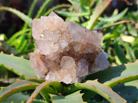 Natural Smokey Amethyst Spirit Quartz Clusters x 6 From Boekenhouthoek, South Africa