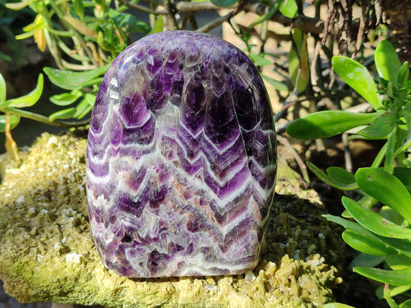 Polished Deep Purple Chevron Amethyst Standing Free Form x 1 from Ankazobe, Madagascar