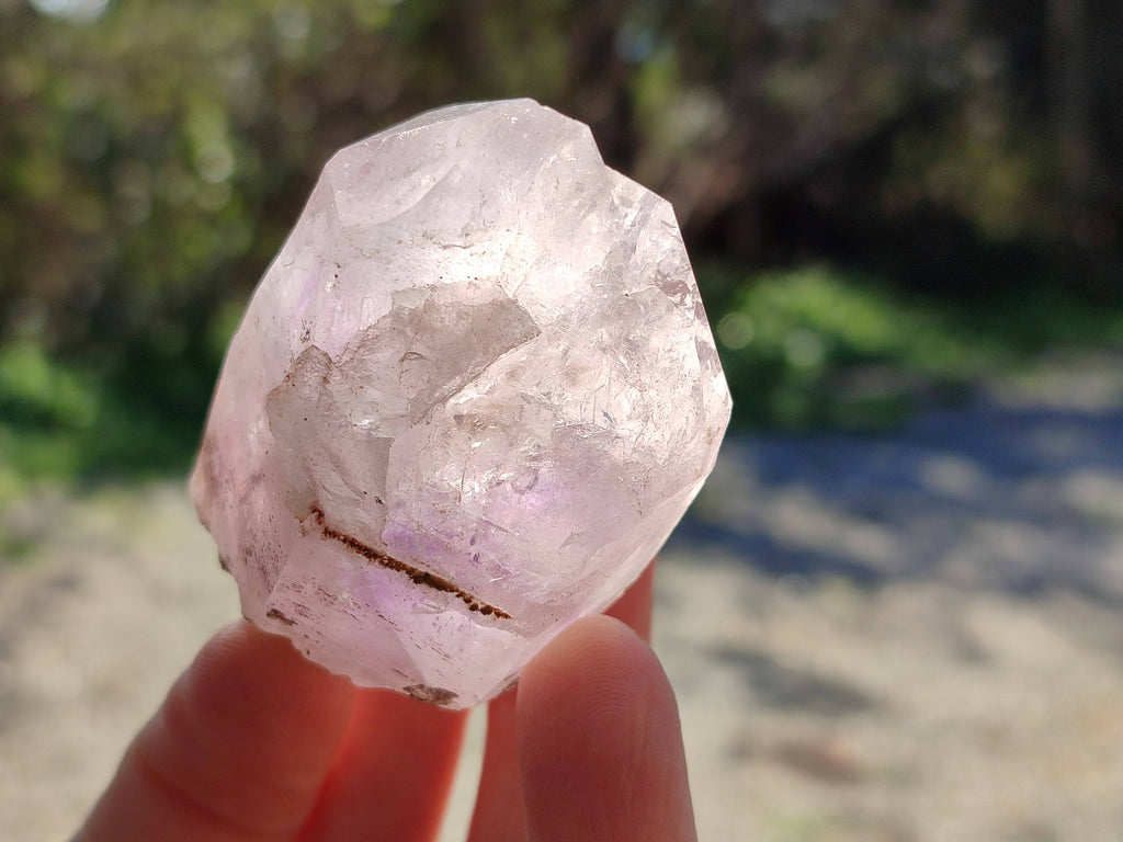 Natural Clear Smokey Window Quartz Crystals x 12 From Brandberg, Namibia - Toprock Gemstones and Minerals 