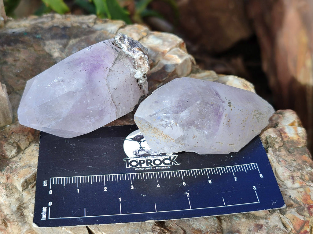 Natural Clear Smokey Window Quartz Crystals x 12 From Brandberg, Namibia - Toprock Gemstones and Minerals 