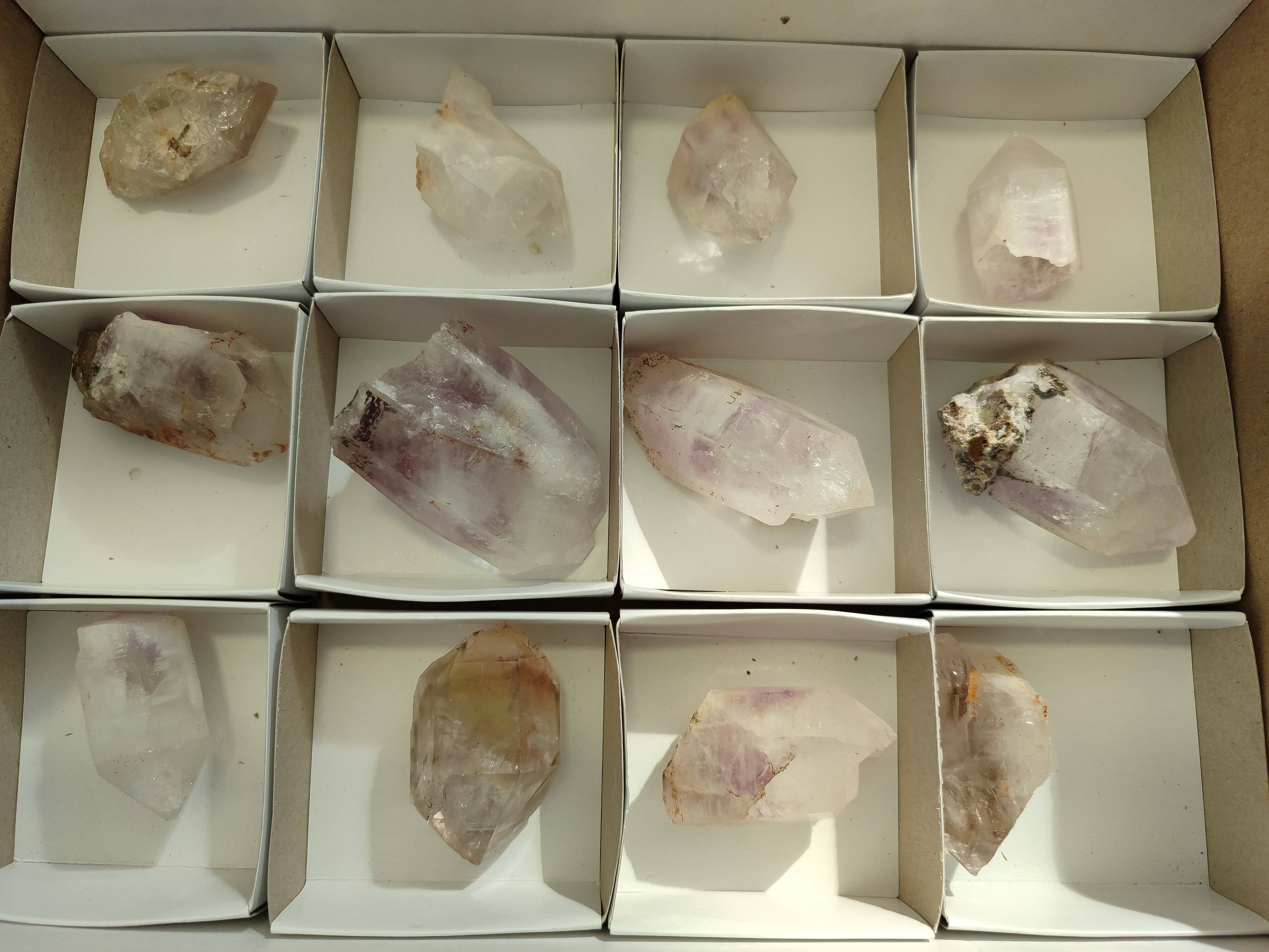 Natural Clear Smokey Window Quartz Crystals x 12 From Brandberg, Namibia - Toprock Gemstones and Minerals 