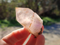 Natural Clear Smokey Window Quartz Crystals x 12 From Brandberg, Namibia