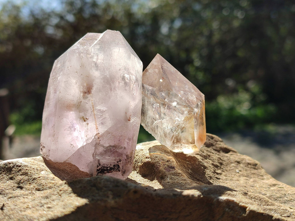 Natural Clear Smokey Window Quartz Crystals x 12 From Brandberg, Namibia - Toprock Gemstones and Minerals 